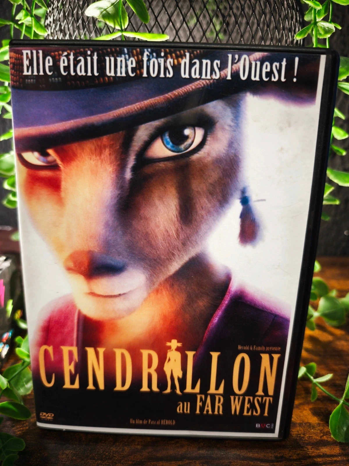 Cendrillon au Far West